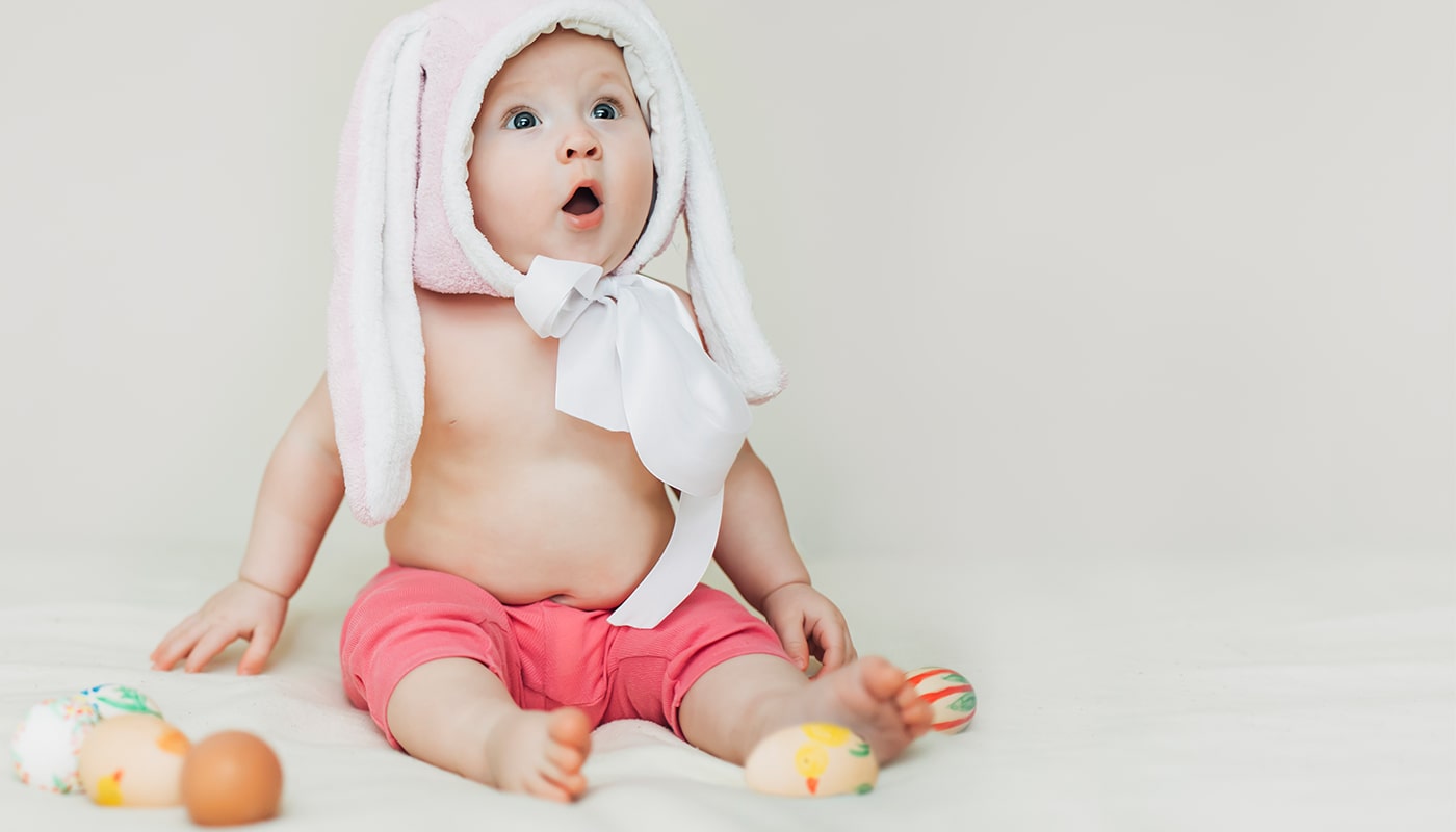 iqonic-extension-portfolo