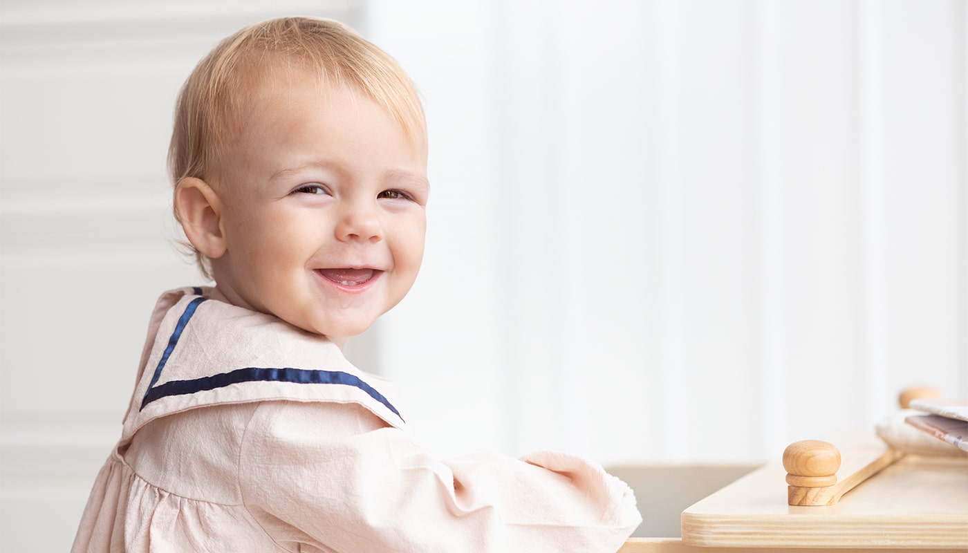 iqonic-extension-portfolo